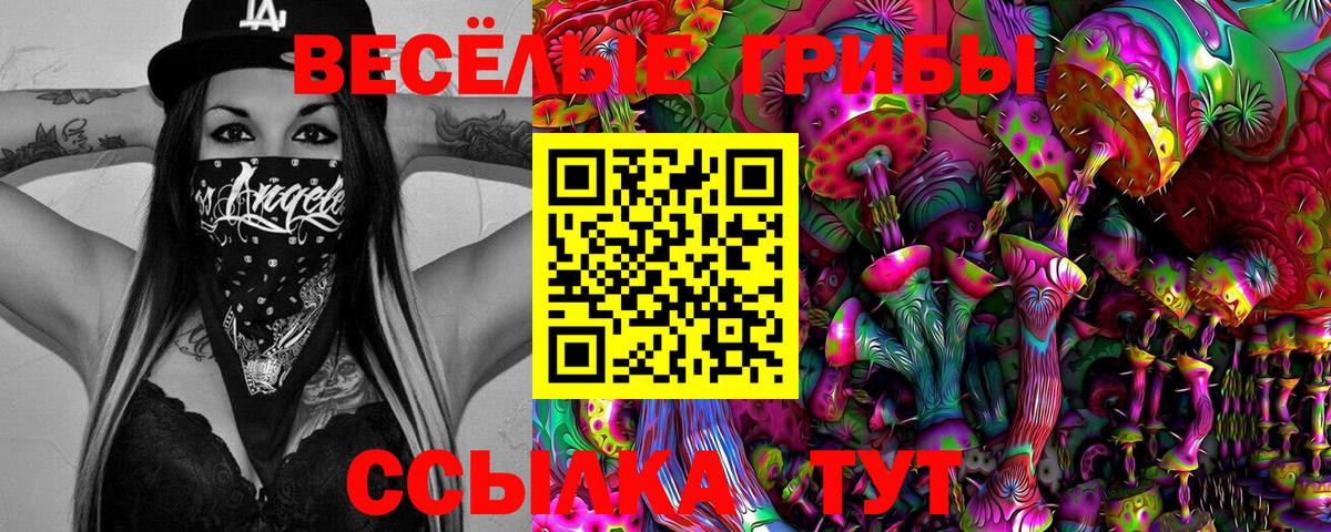 Златоуст  Галлюциногенные грибы Cubensis  Псилоцибиновые грибы мицелий  Вход с VPN 